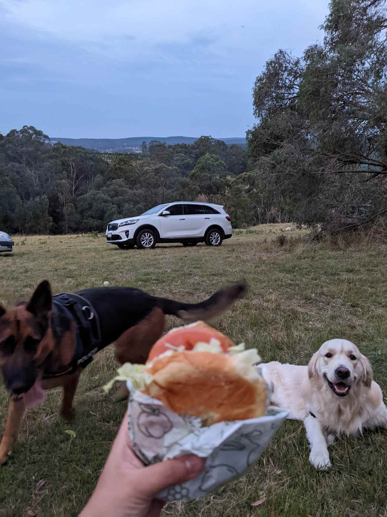 Kookaburra Ridge Farm Camp