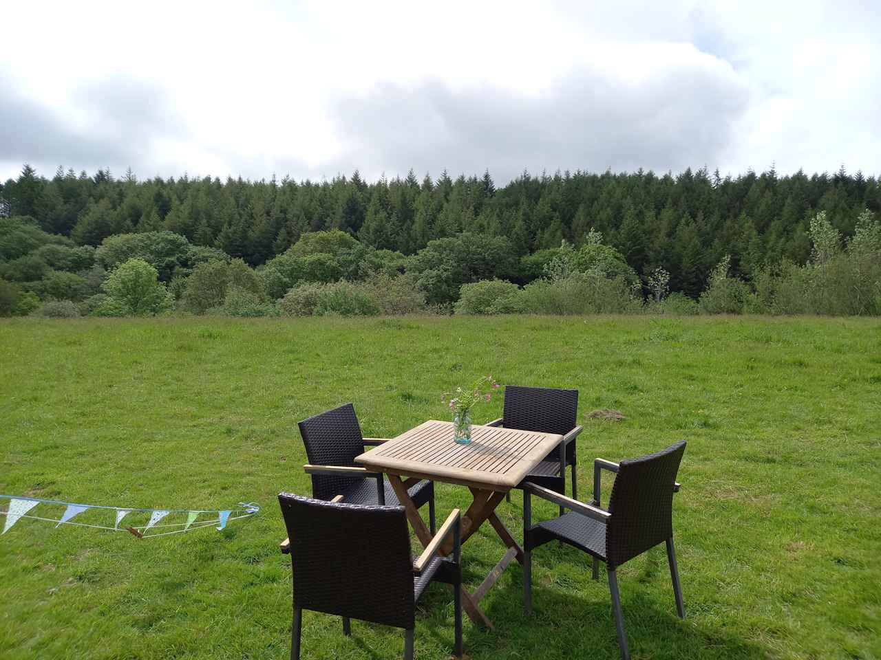 View from Meadowsweet tent - it's a great spot to watch the birds of prey circling overhead