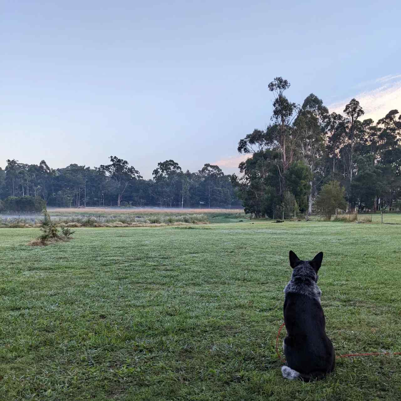 Nowa Nowa Lakeside Farmlet.