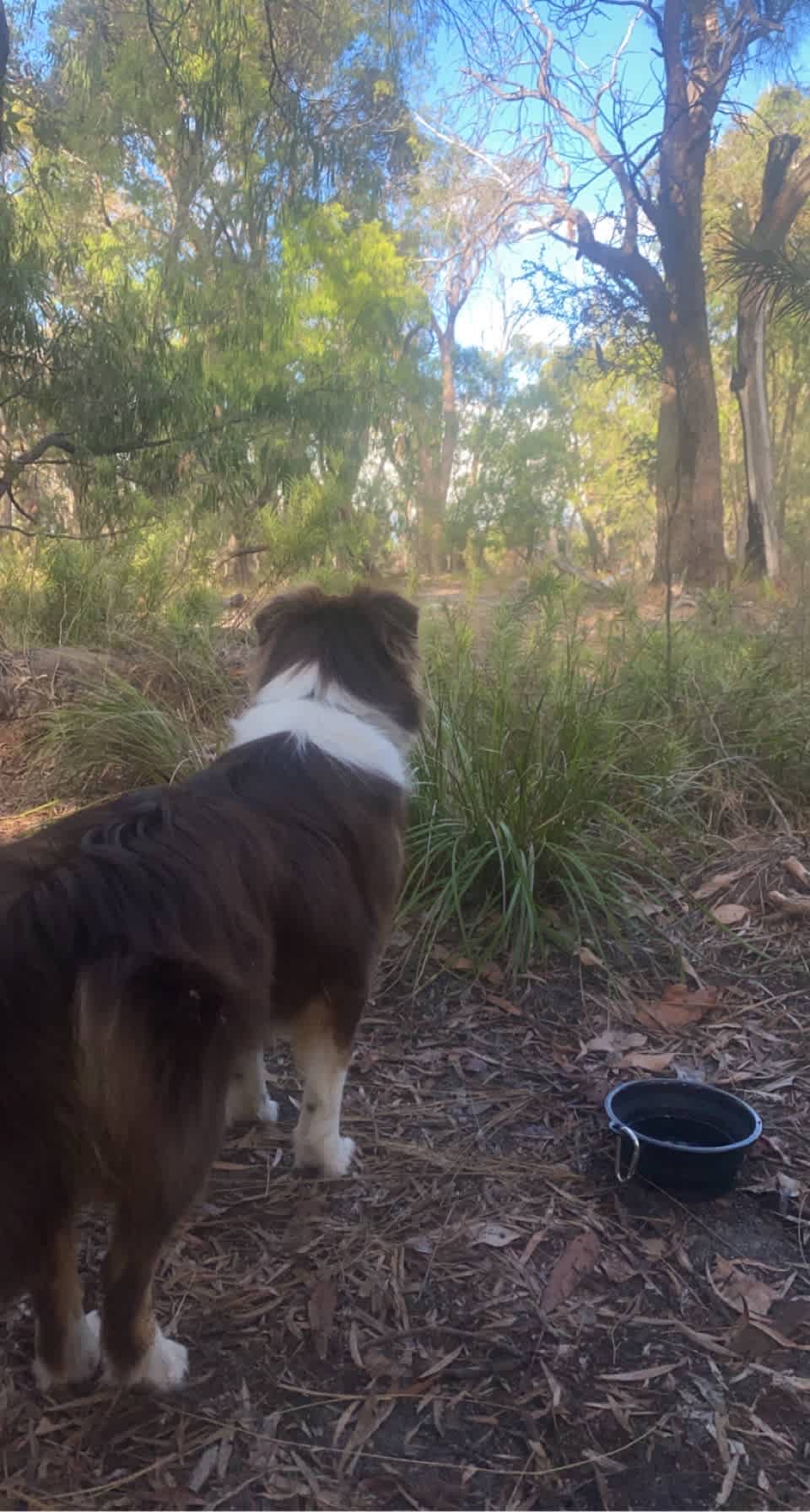 South West Central Bush Block