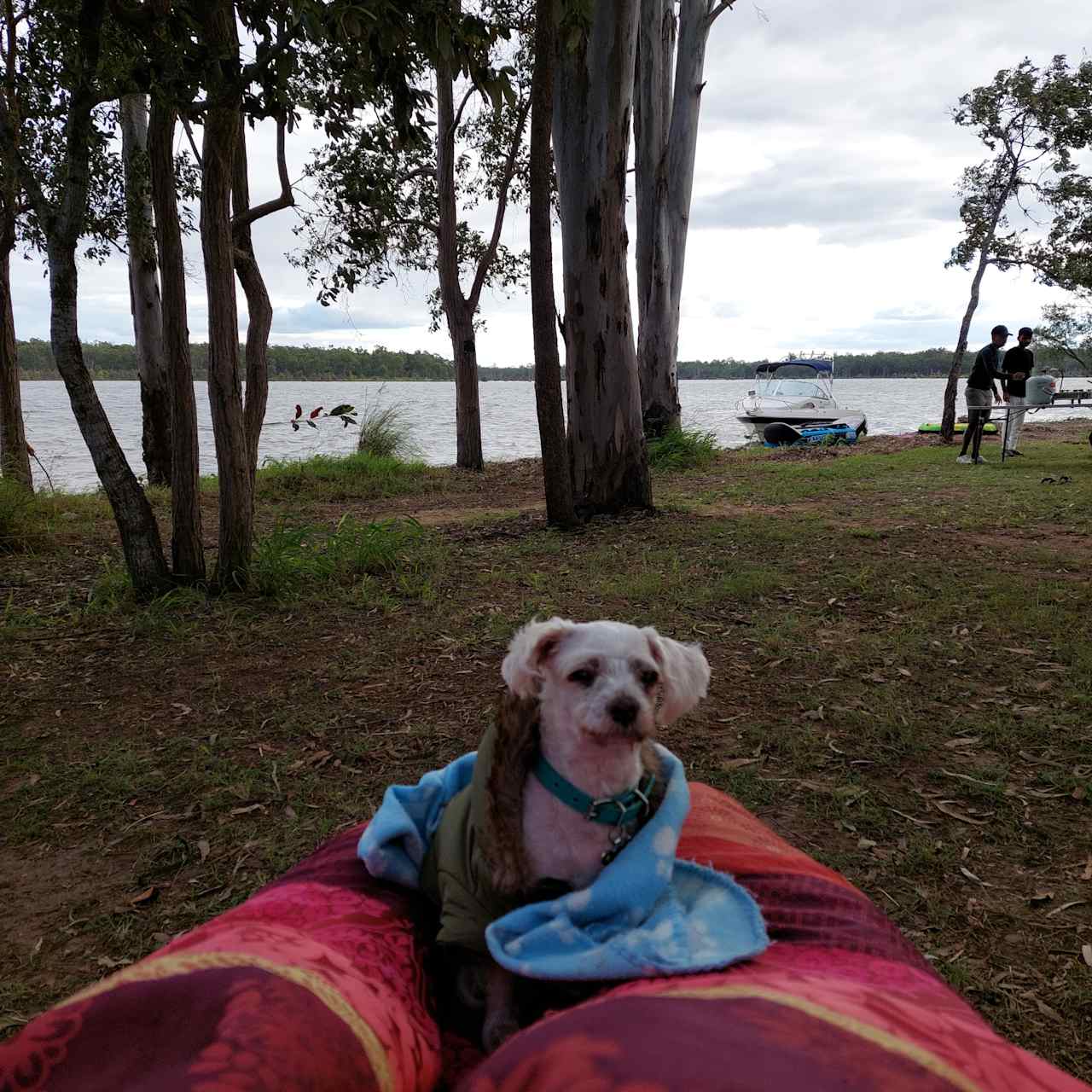 Lake Atkinson Waterfront Camp