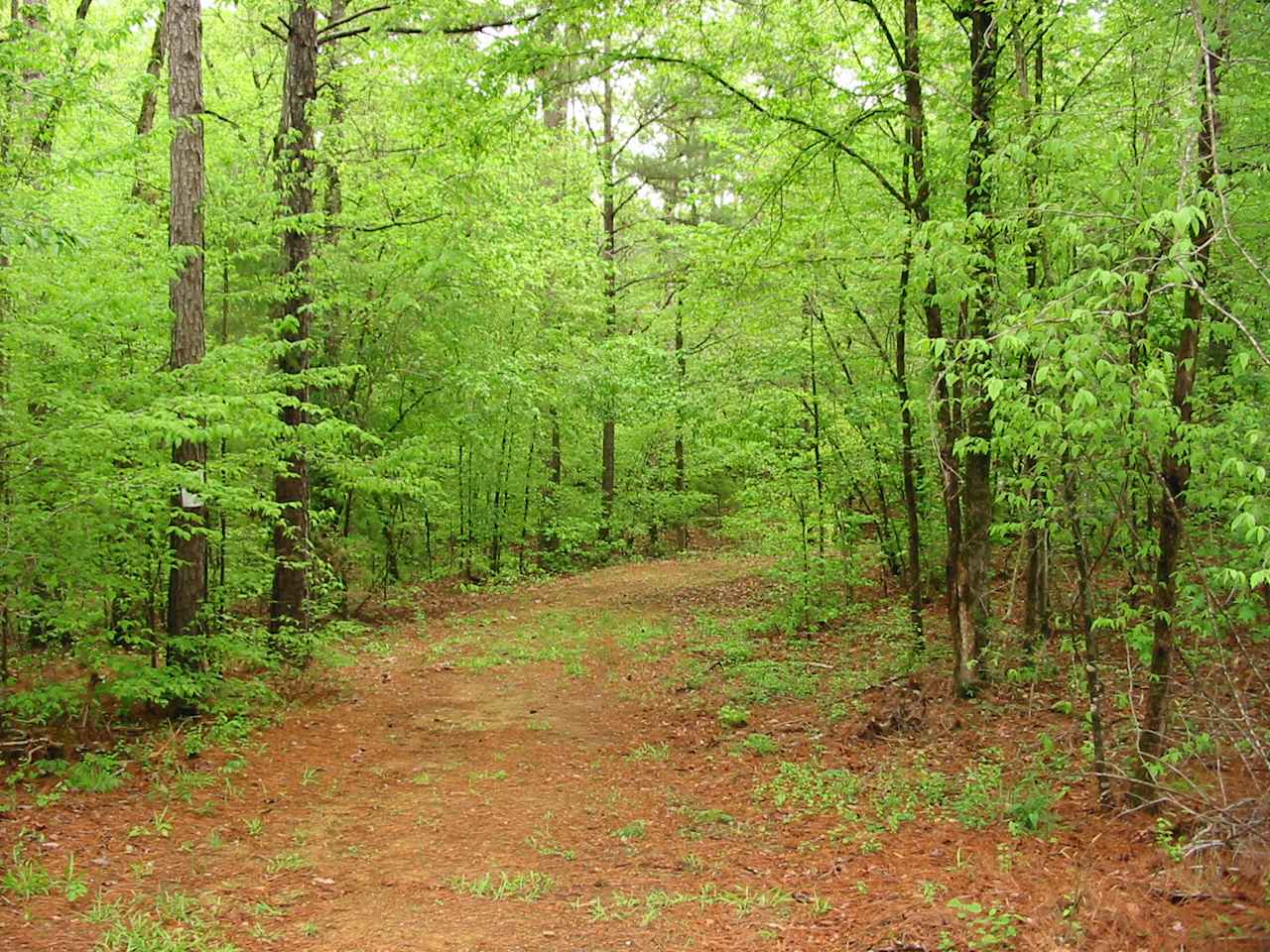Big Creek RV Park of Saluda SC