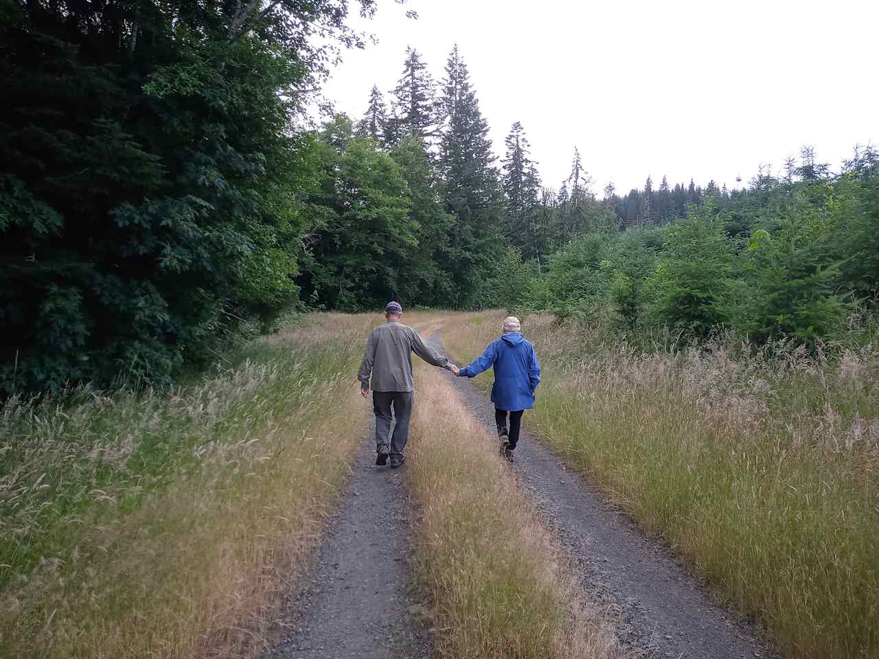 100+ miles of hiking trails (these roads are only open to motorized vehicles in November)