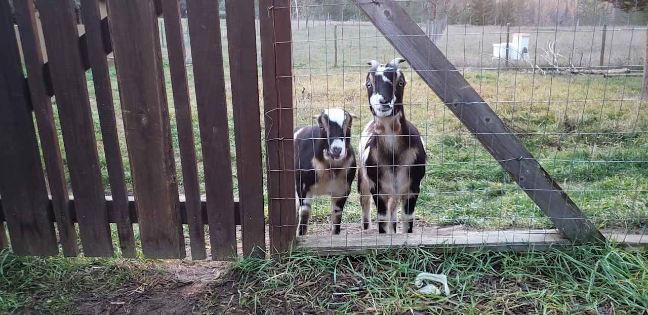 Small Family Farm (Monashee Mountains)