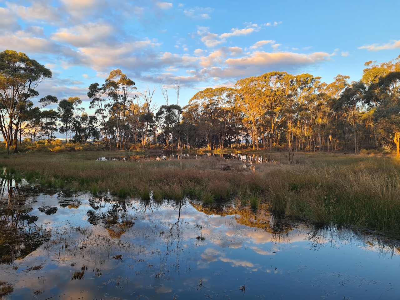 View of Wetlands