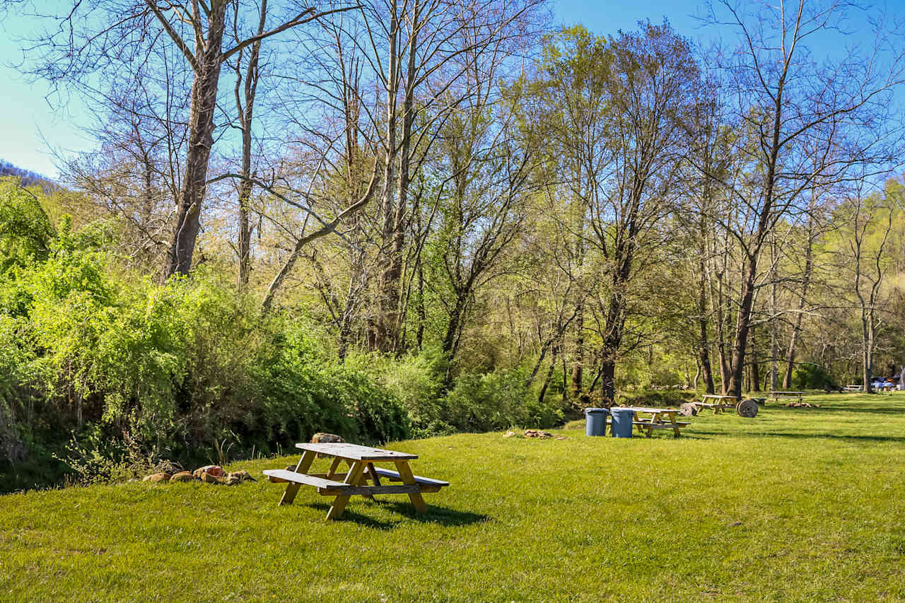 Picnic tables and lots of space for the family, kids, and pets!