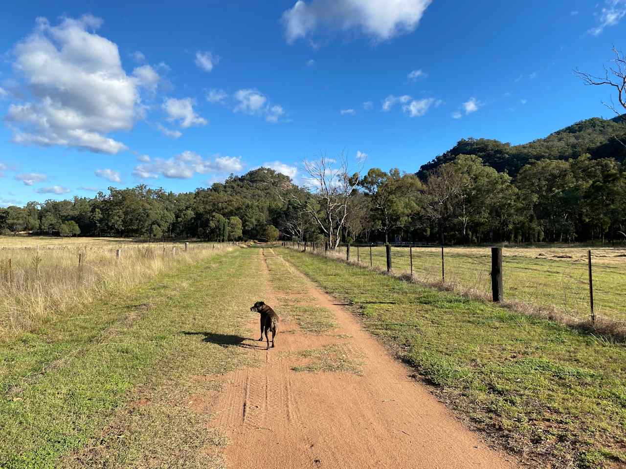 Exploring the road in.