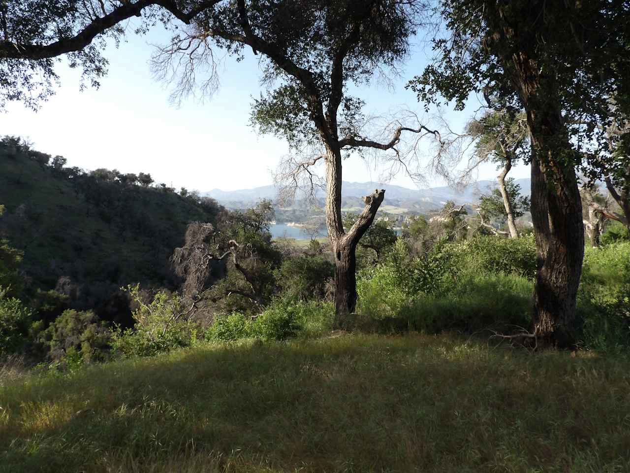 View from your Ranchette!  Lake Cachuma!