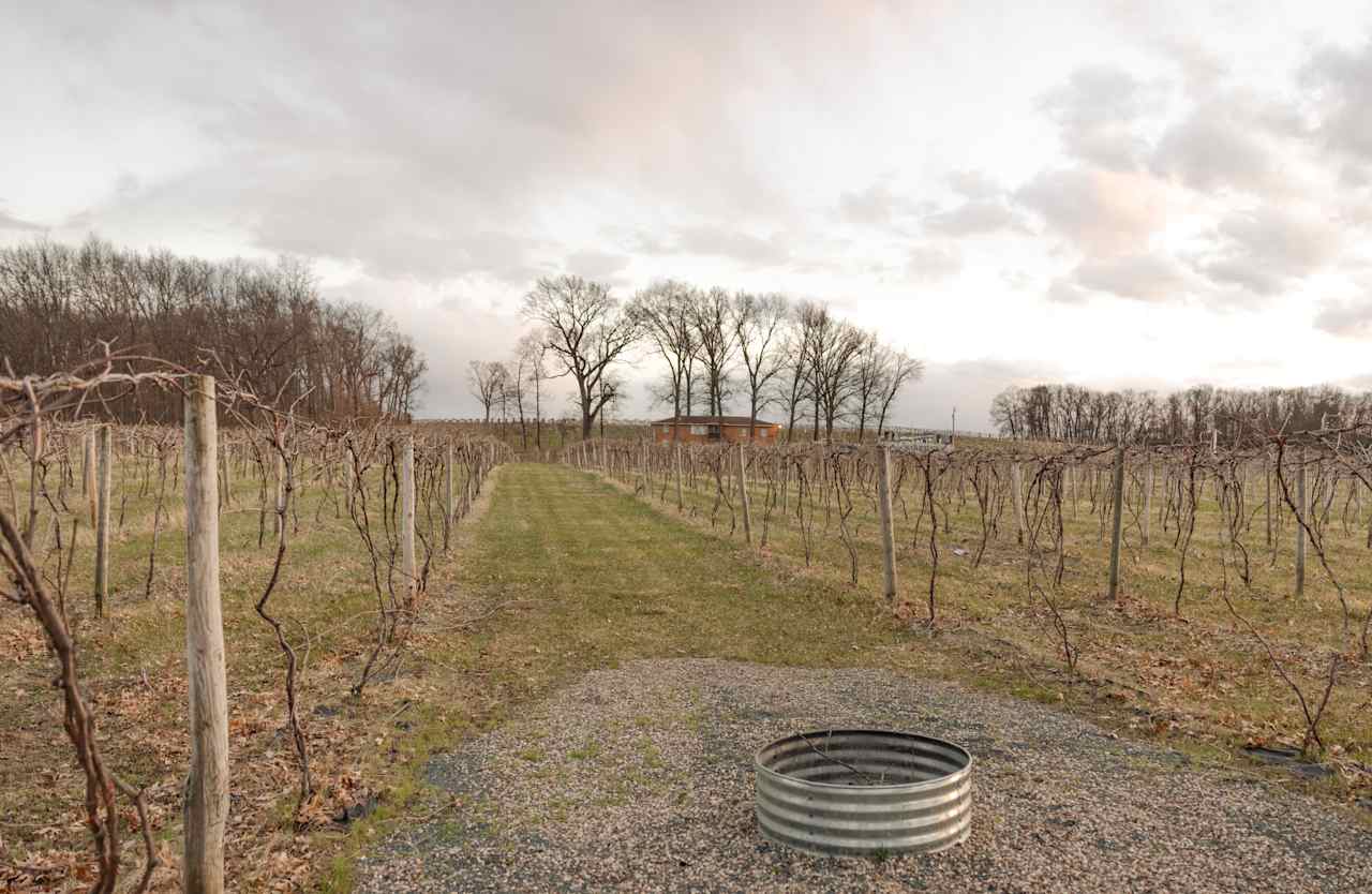 Hunt’s Hillside Vineyards