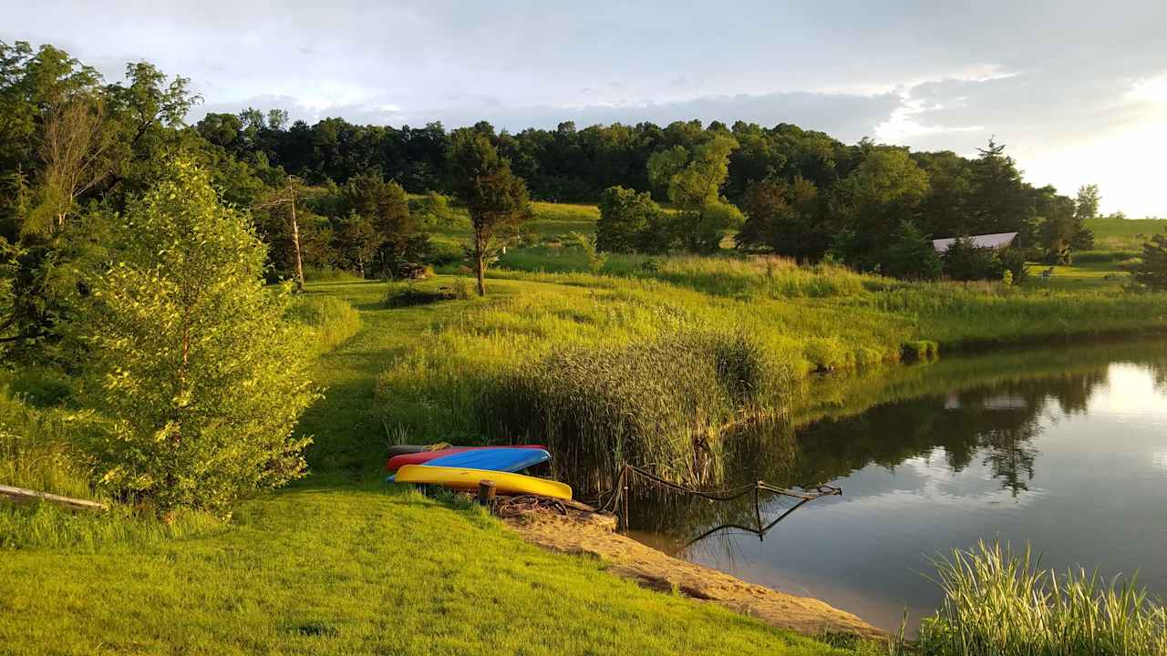 paddle boards, kayaks, swimming