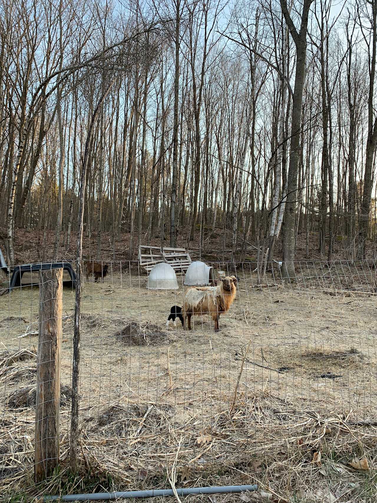 Hogback Homestead