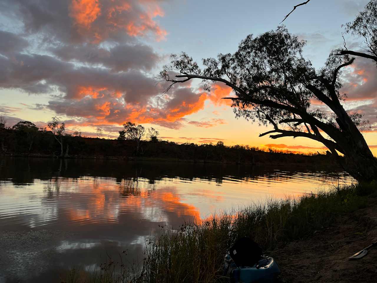 Rondel River Reserve