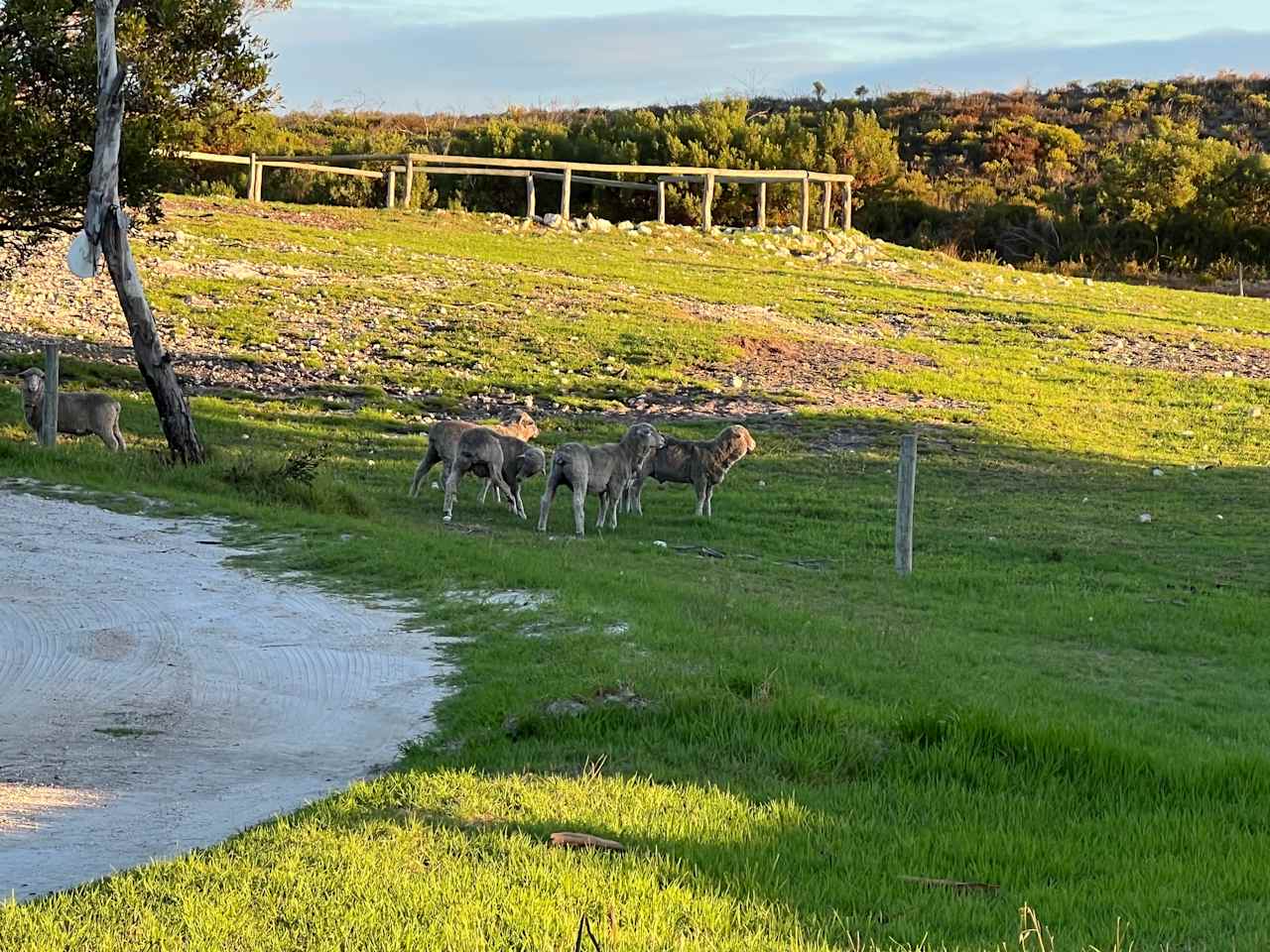 Nakuru Pastoral