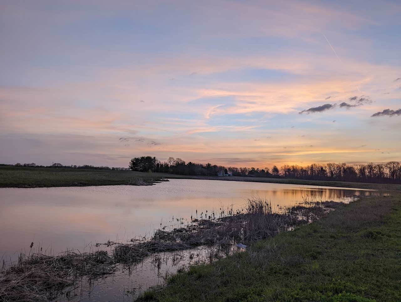 Sherfick Farms