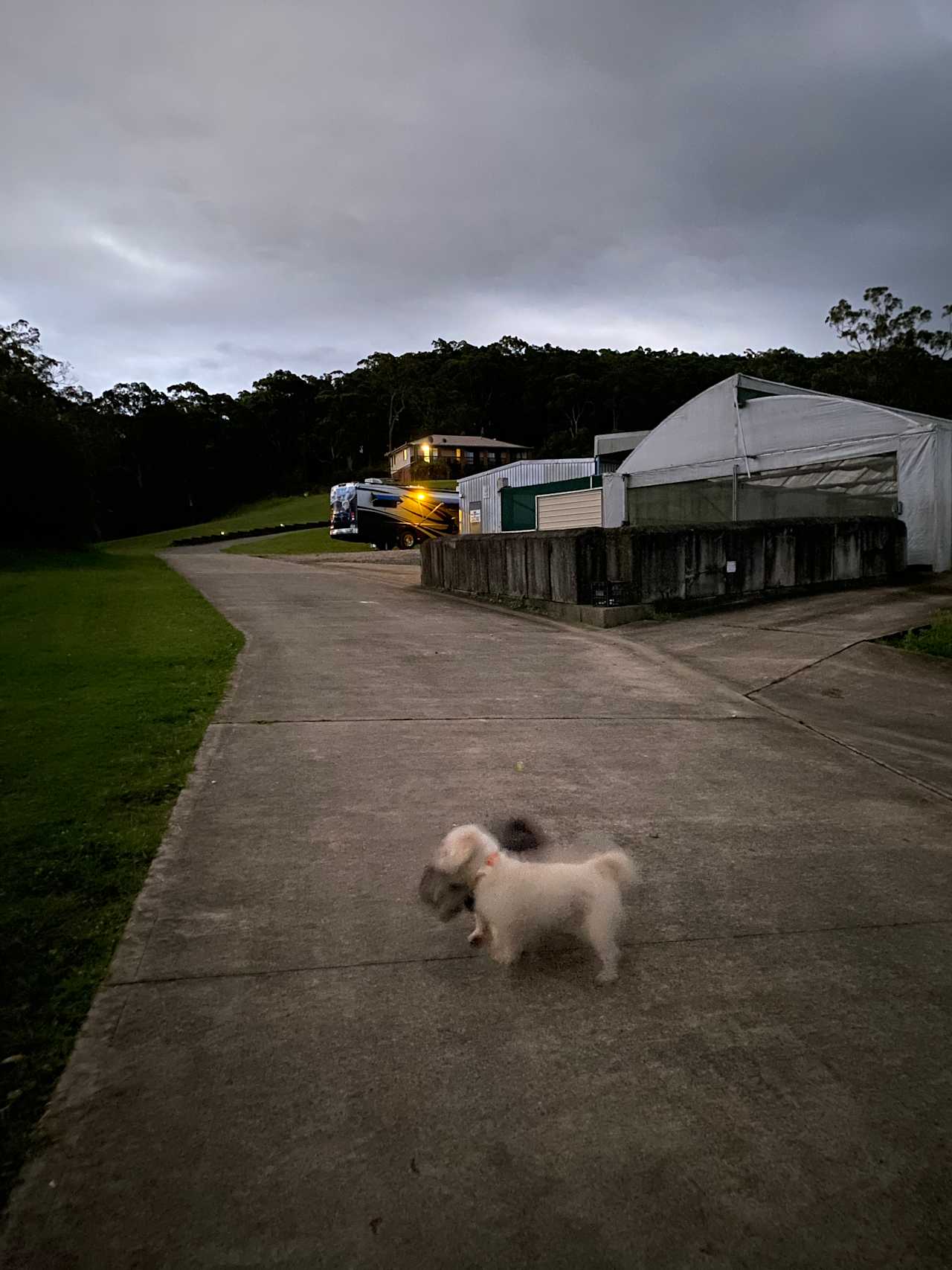 Mt Nellinda Campsite