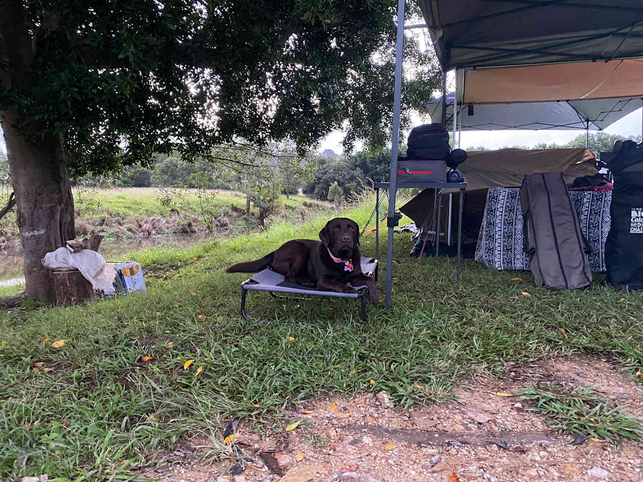 Eltham Station  Byron Hinterland