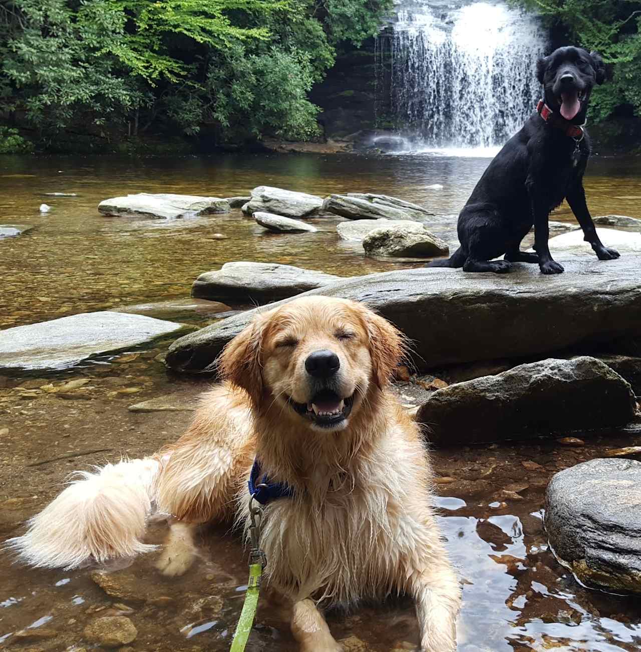 Panthertown valley