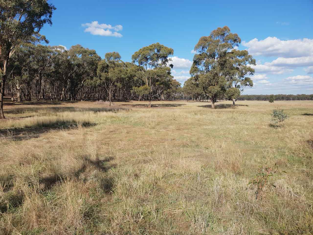 Sebastian Grasslands