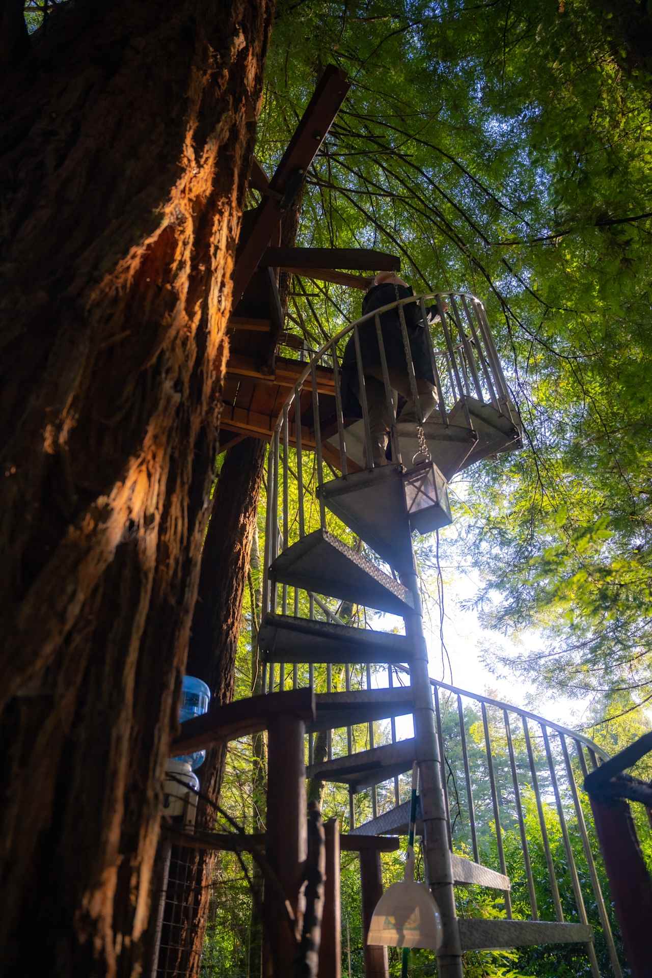 Spiral staircase going up!