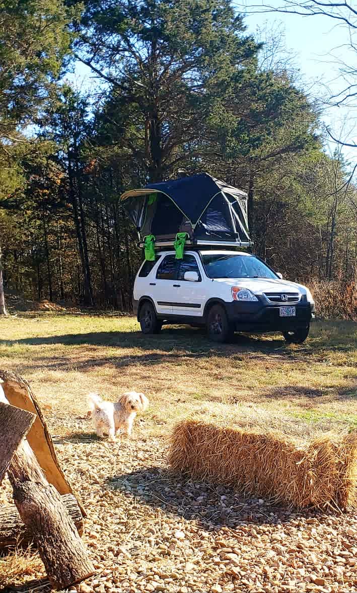 Bring your own unique tent, and enjoy the calming barnyard experience . . .