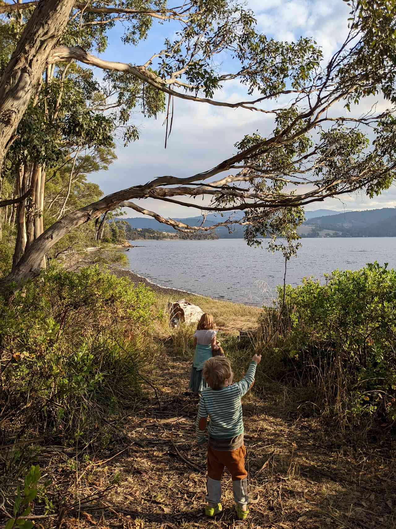 Cygnet Cloudbreak Farm Camp