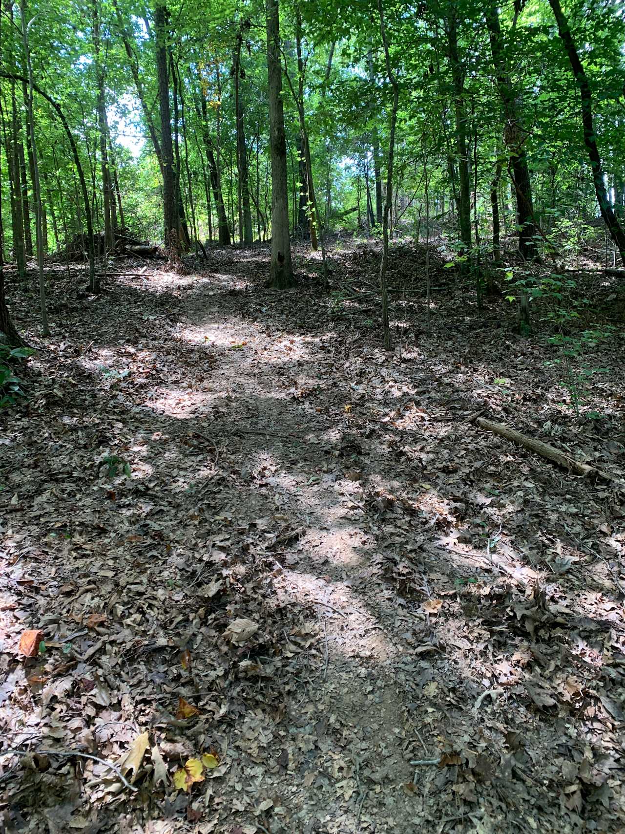 Trail from the top/front of the property to the bottom/back (where the stream is)