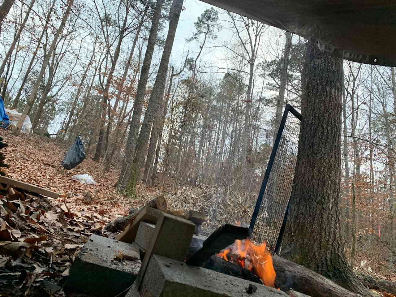 My lean-to view the first day I ever stayed overnight myself when first checking it out