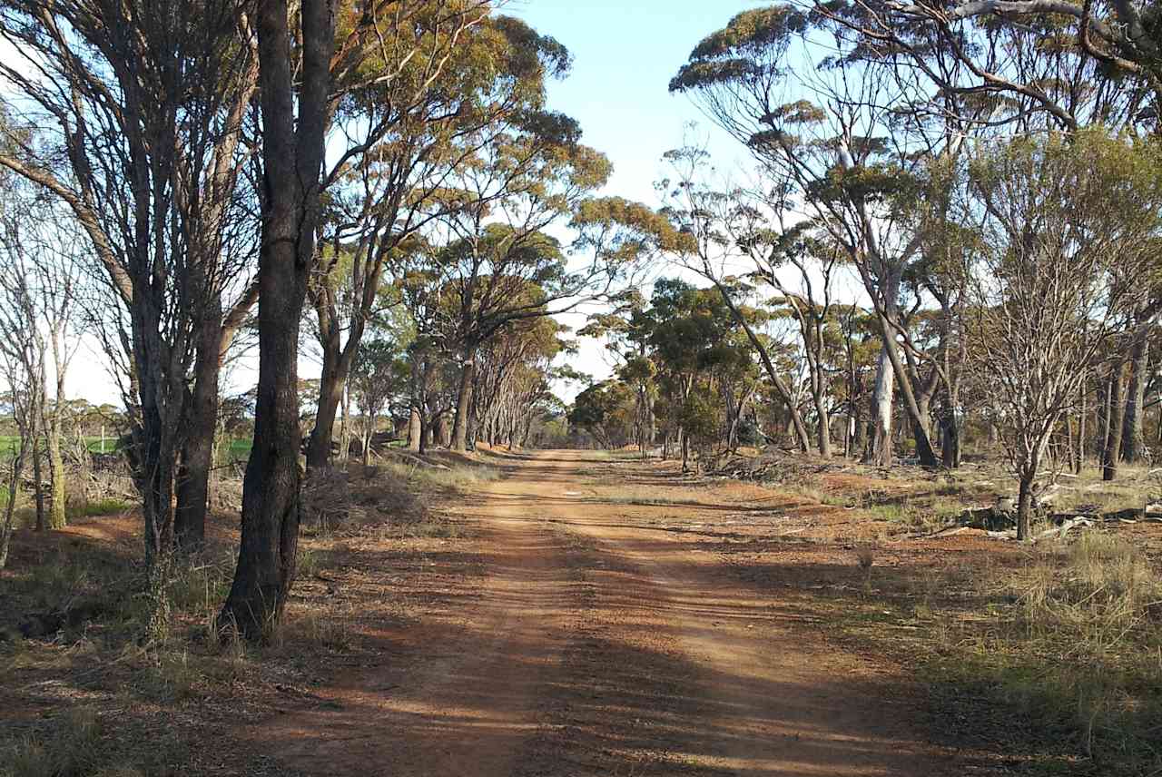 Drive into the farm