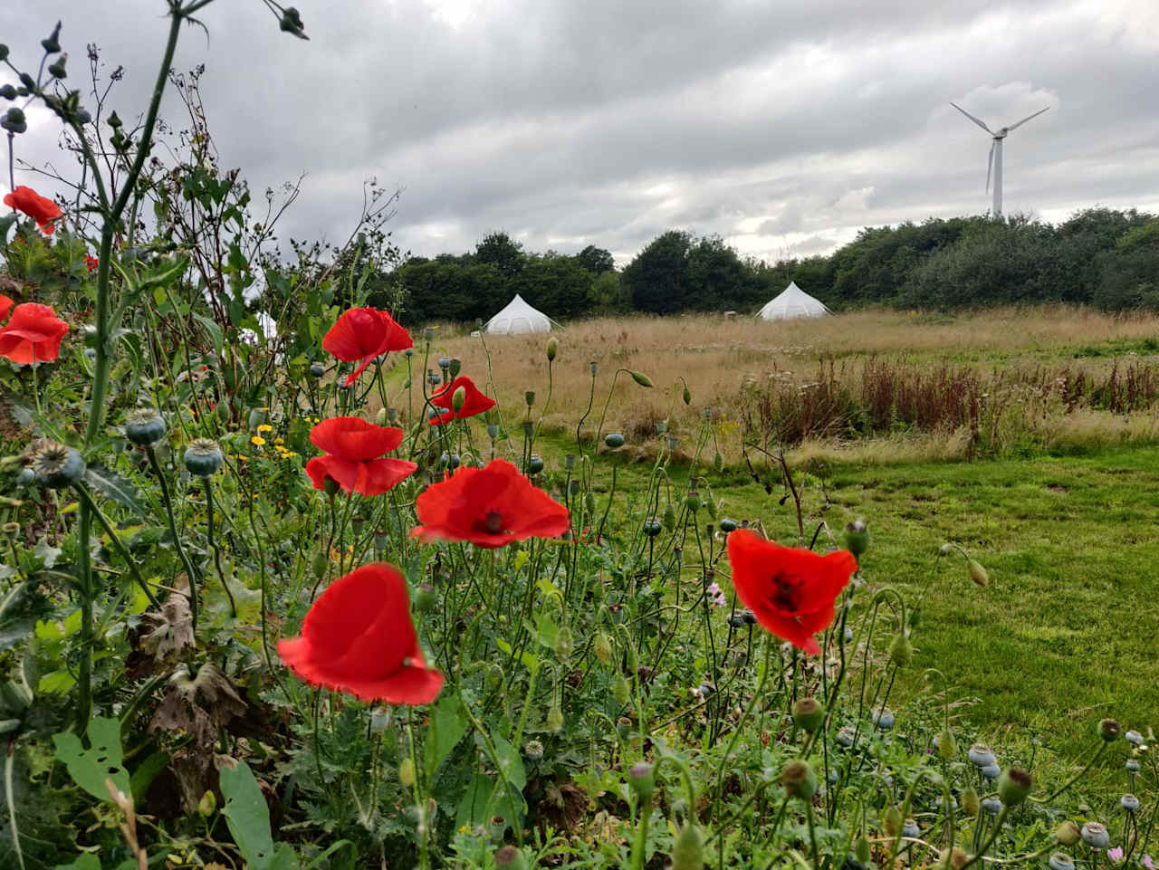 Oxwick Farm