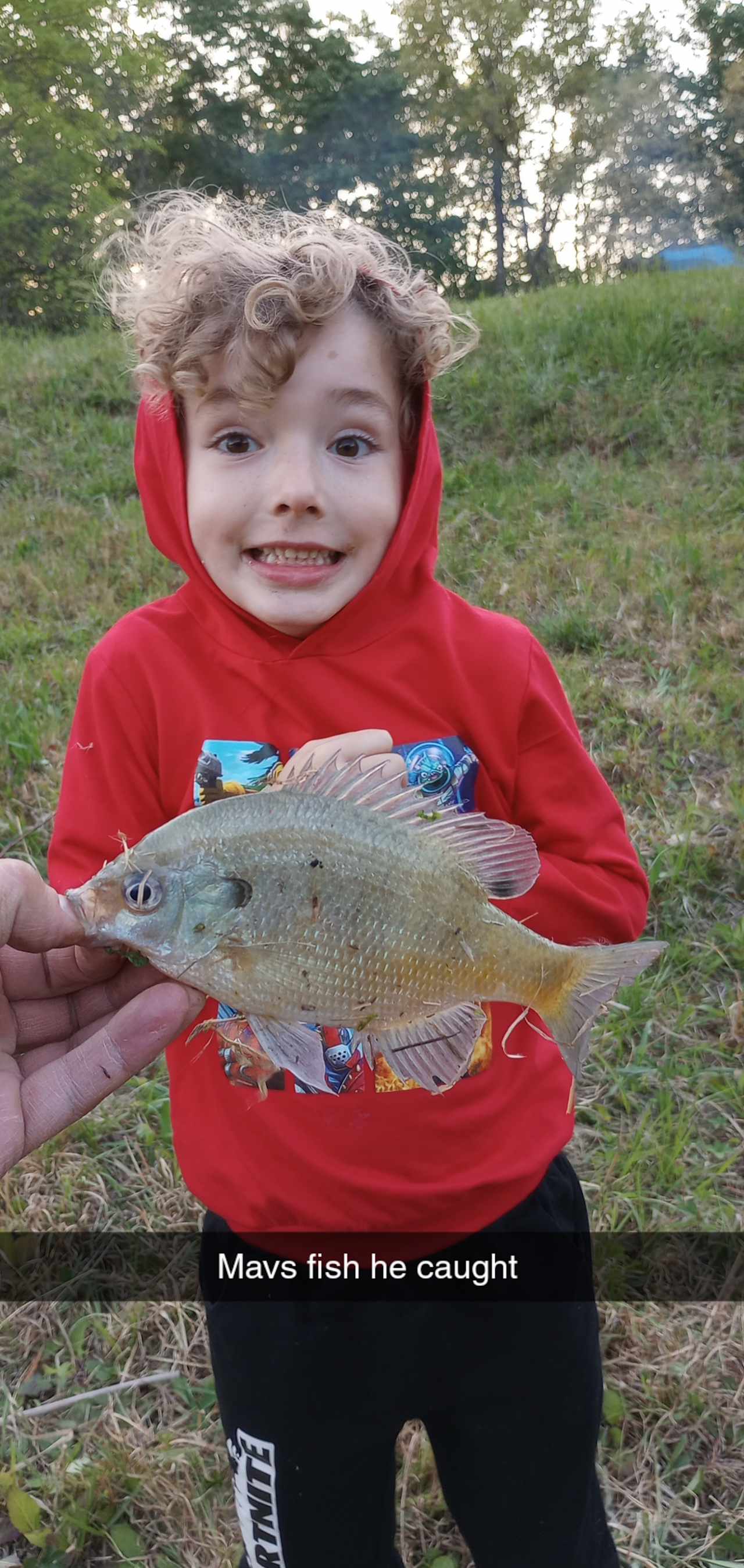 Fish from the pond 