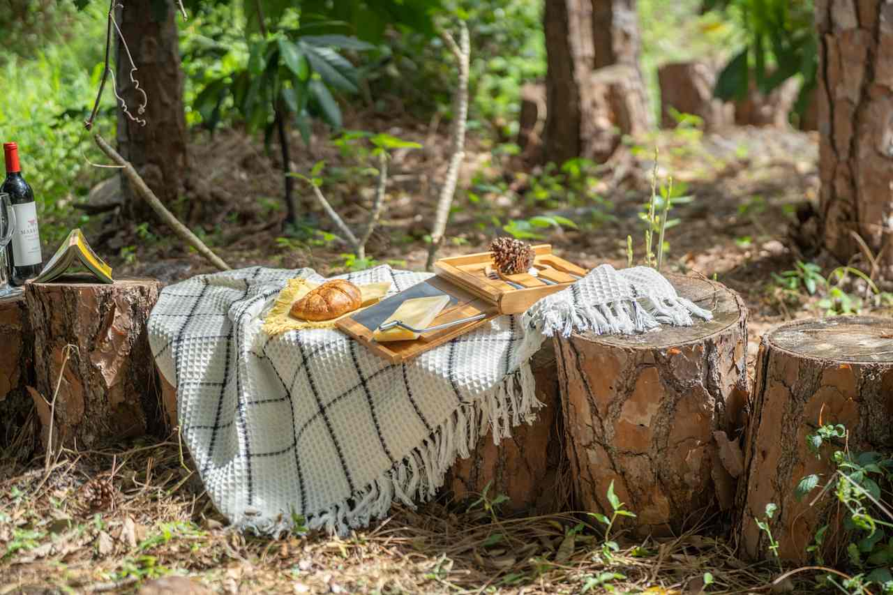 Breakfast in forest 