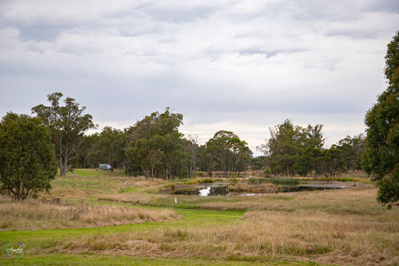 The Hobby Sheep Farm