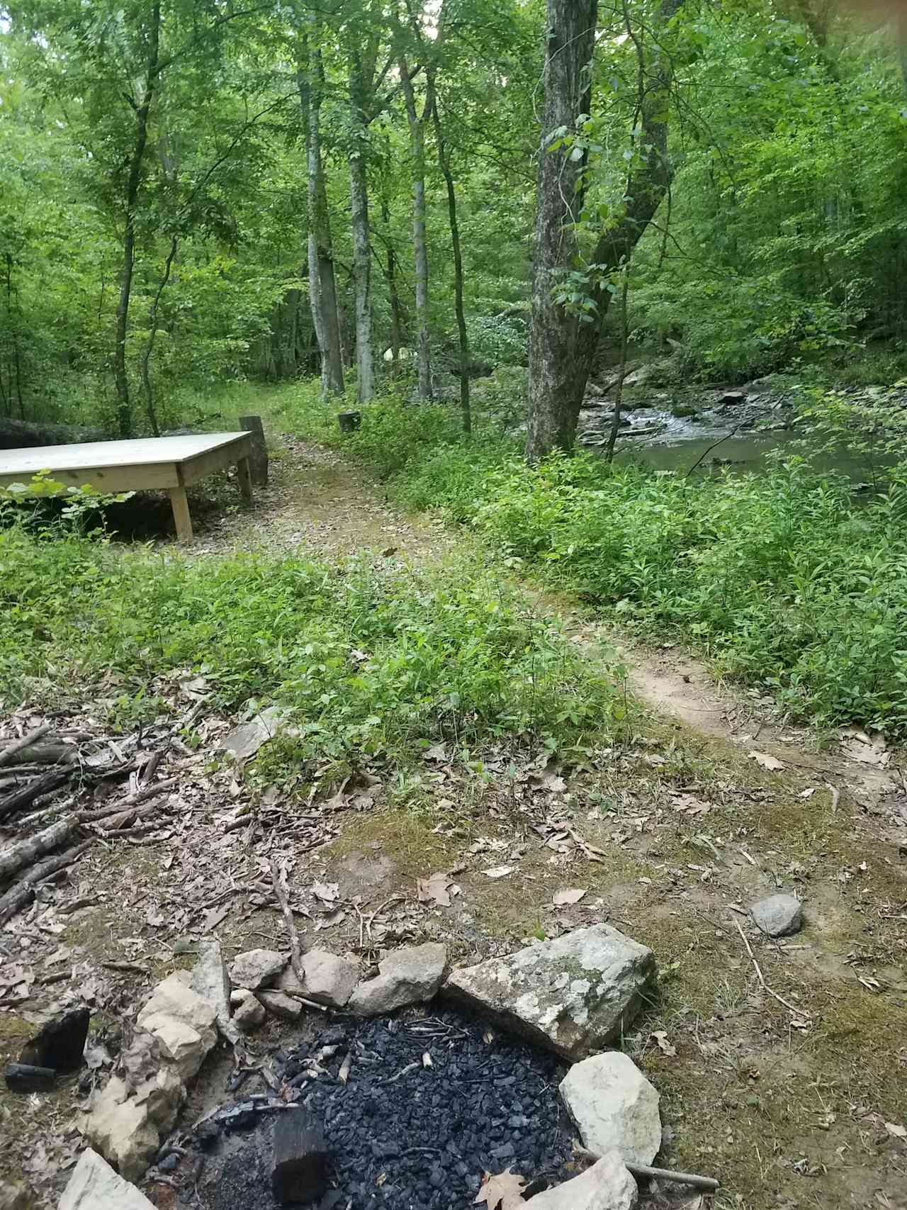 Rare, Watershed Forest - Piedmont