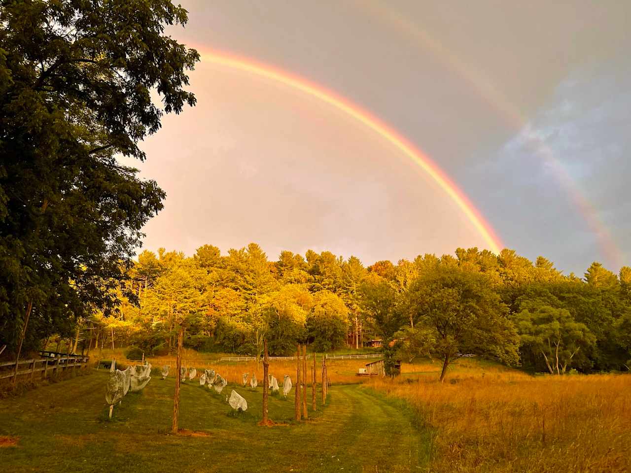 Creekside Orchard