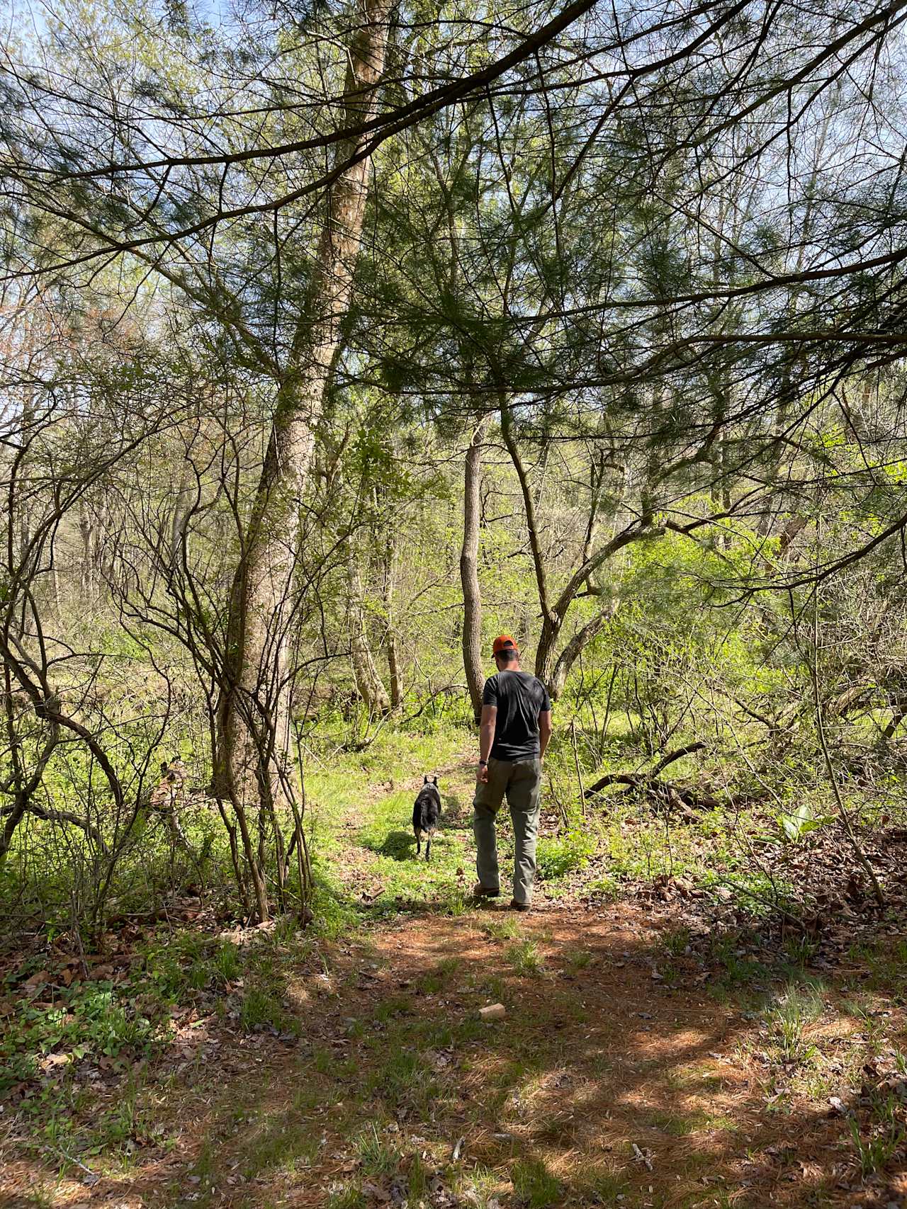 Site 4 includes a trail to the beach.