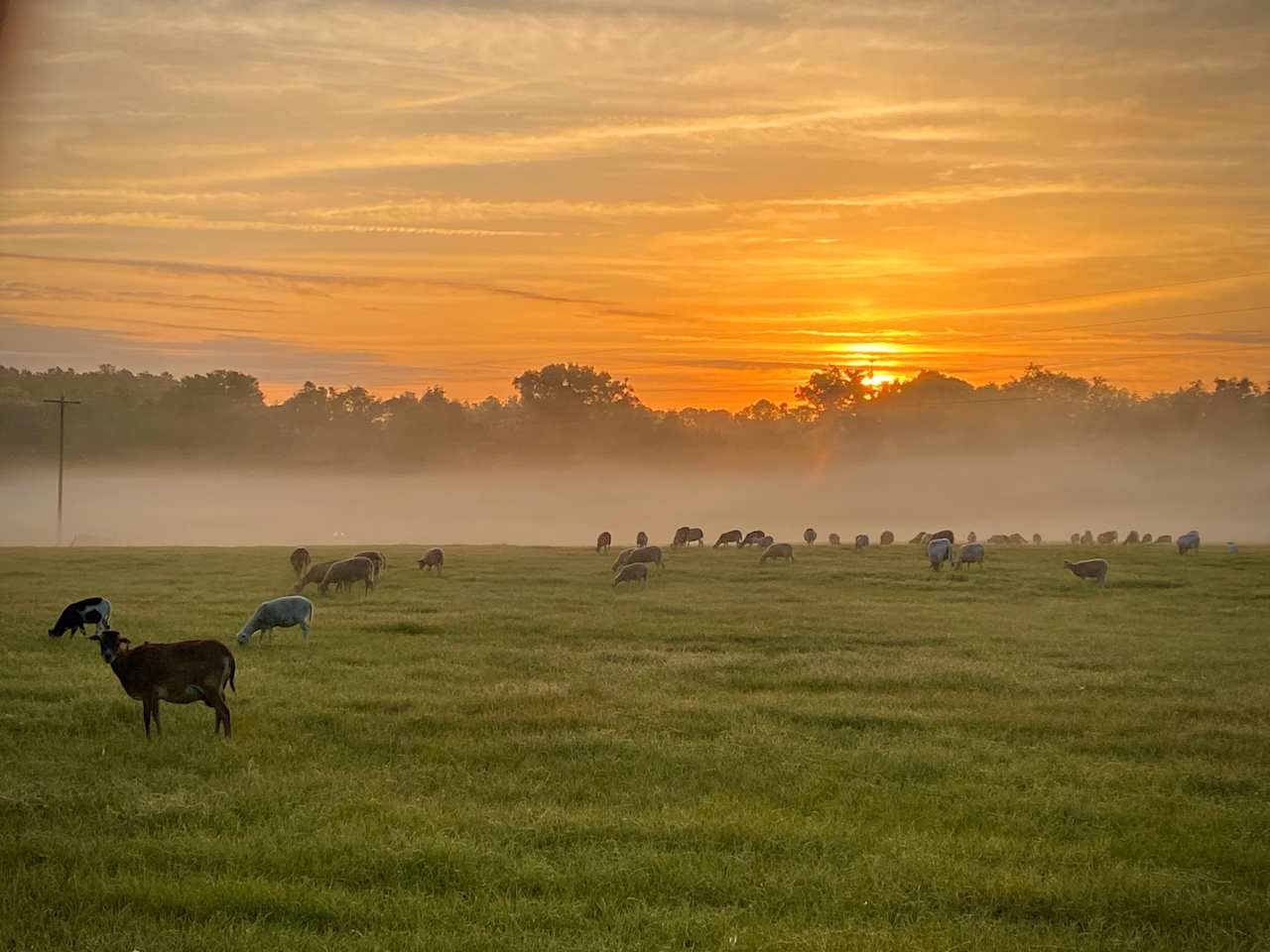 Glenn Farm