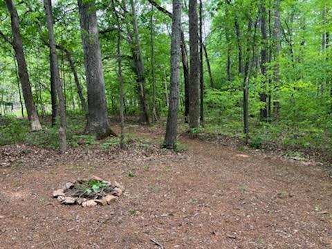 site 1