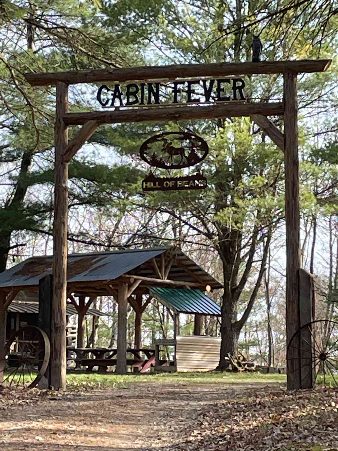 Cabin Fever