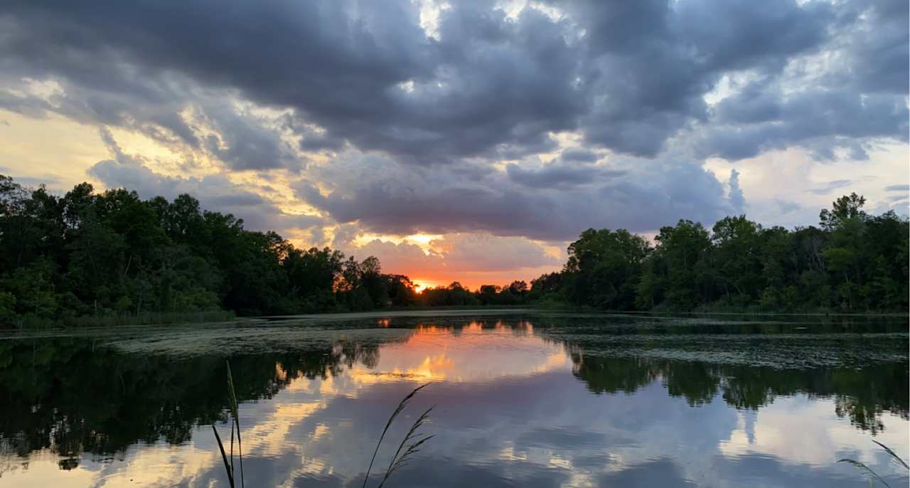 Sunset over the pond