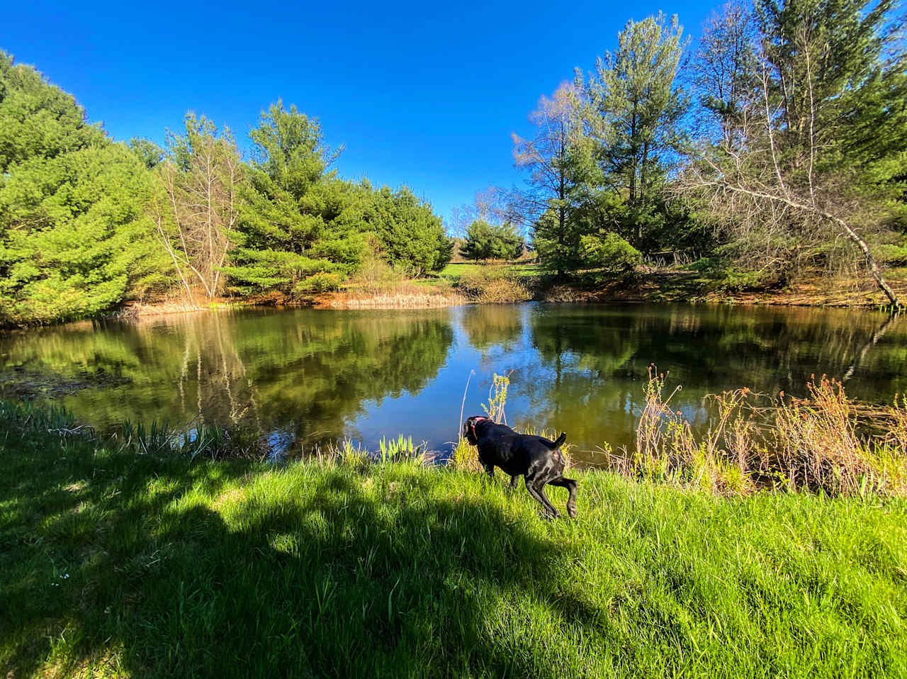 Upper Shire Campsites Hudson Valley