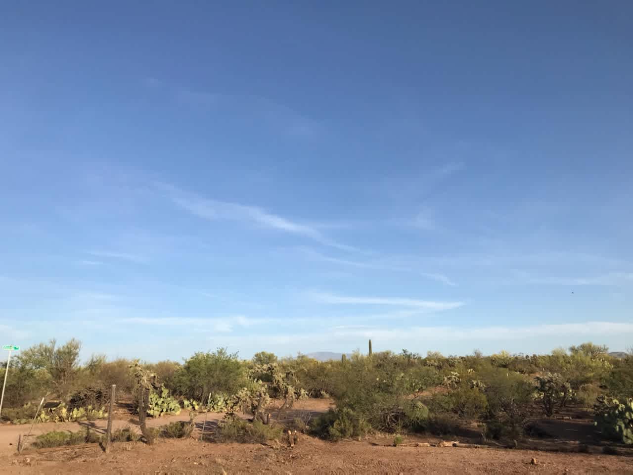 Mt Lemmon in the distance