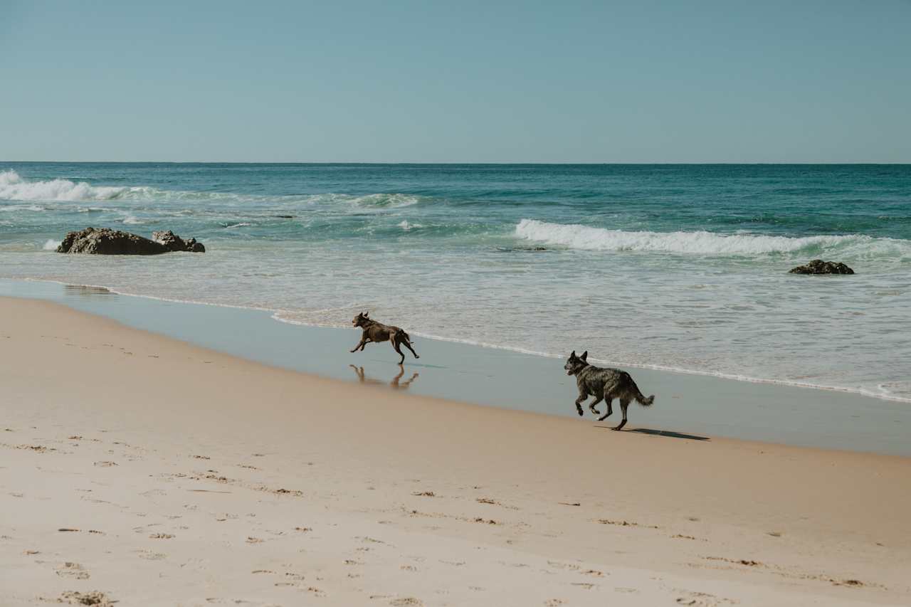 Narooma beach