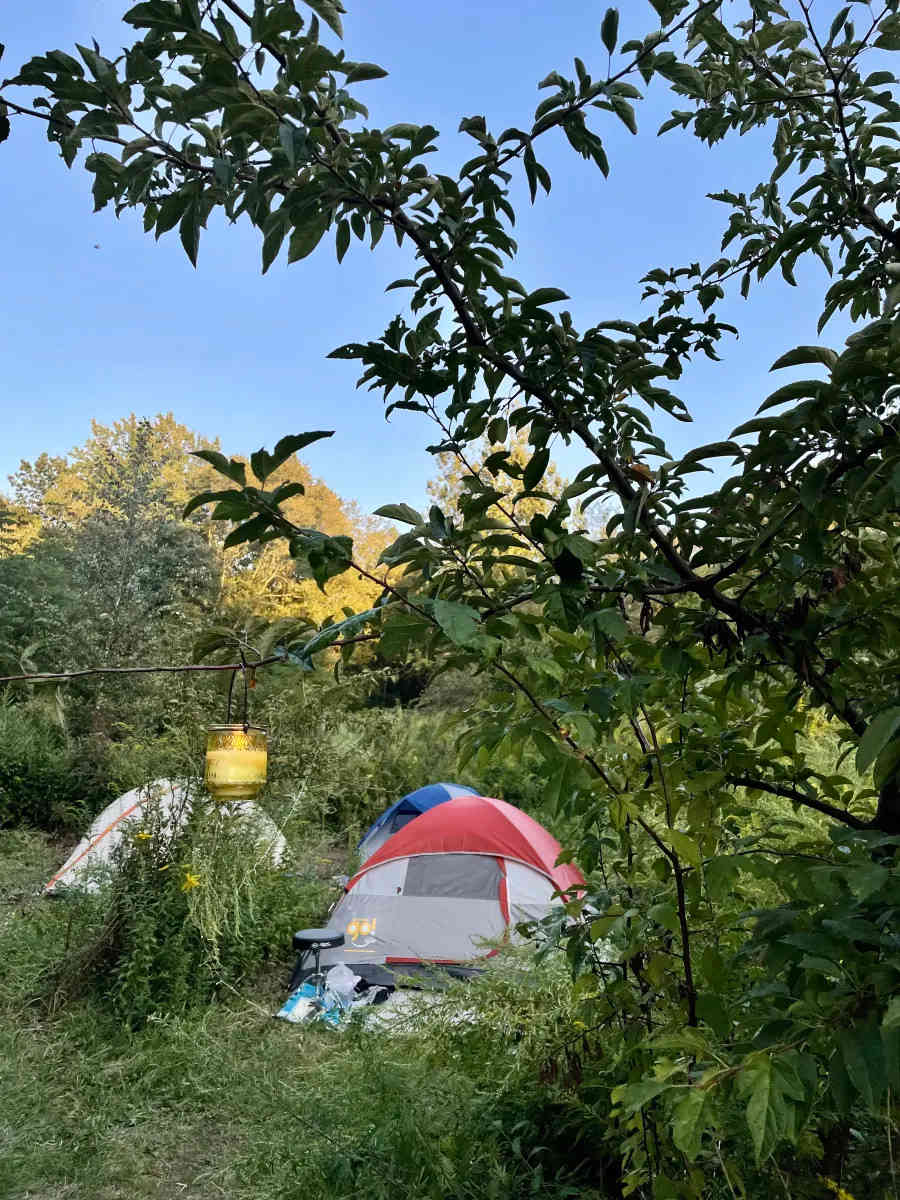 Ugly Apple Farms