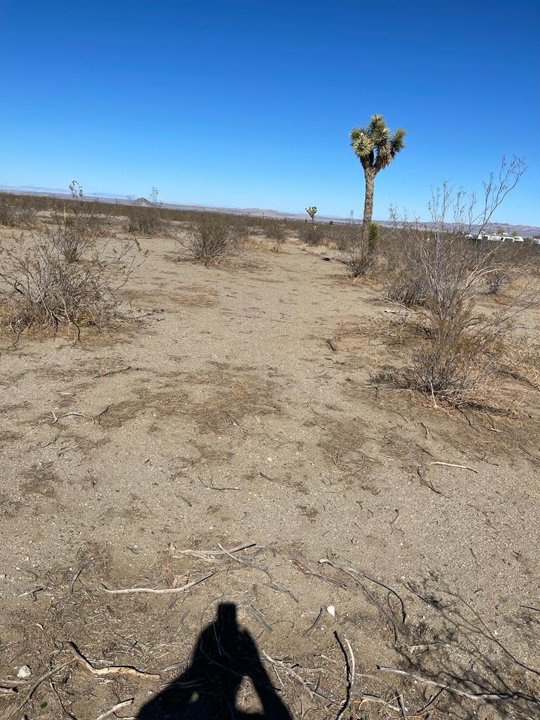 Hacienda del Alto Desierto