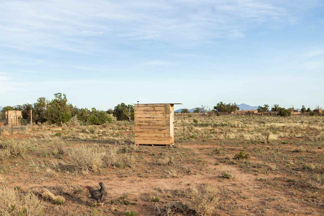 We loved that we could see Scott's chickens as we took a stroll to the restroom.