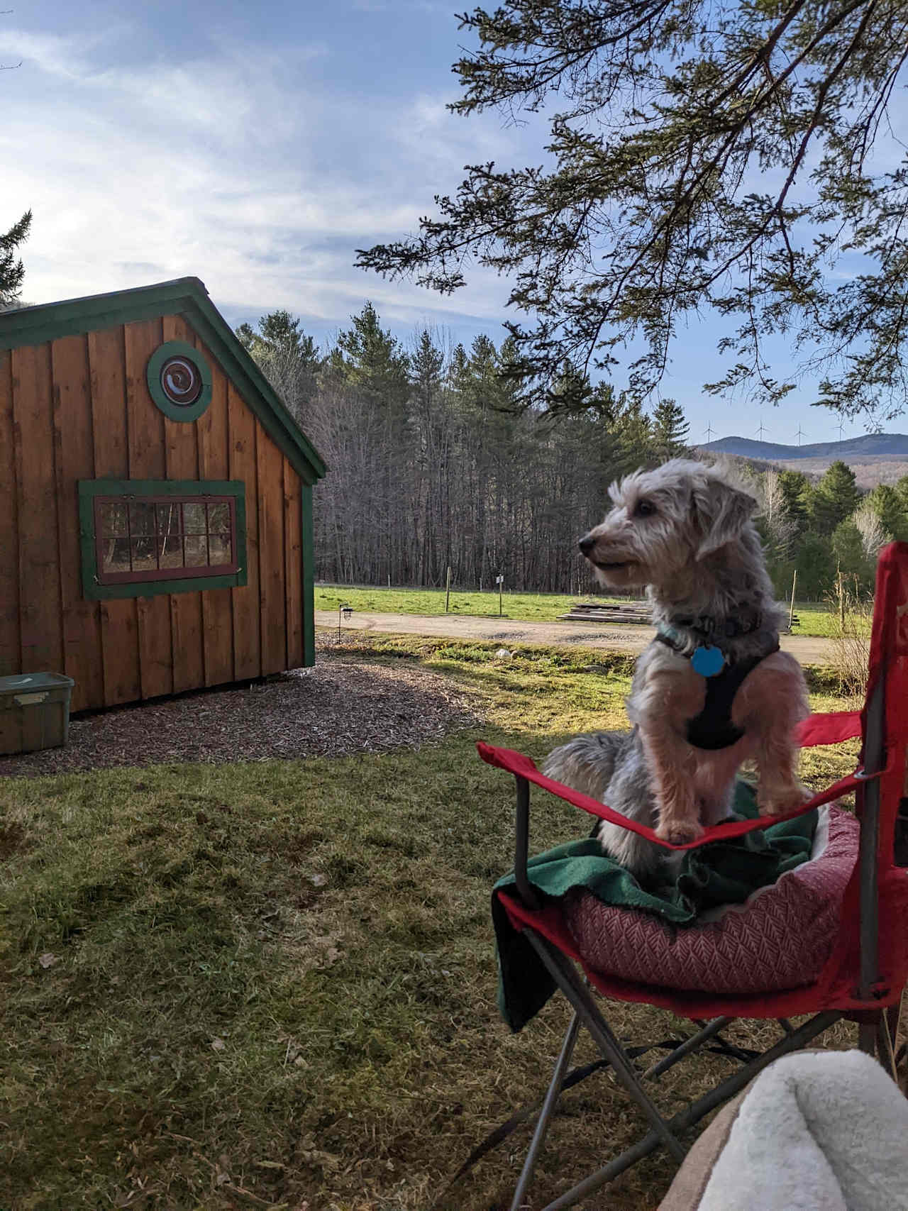 Zen Cabin