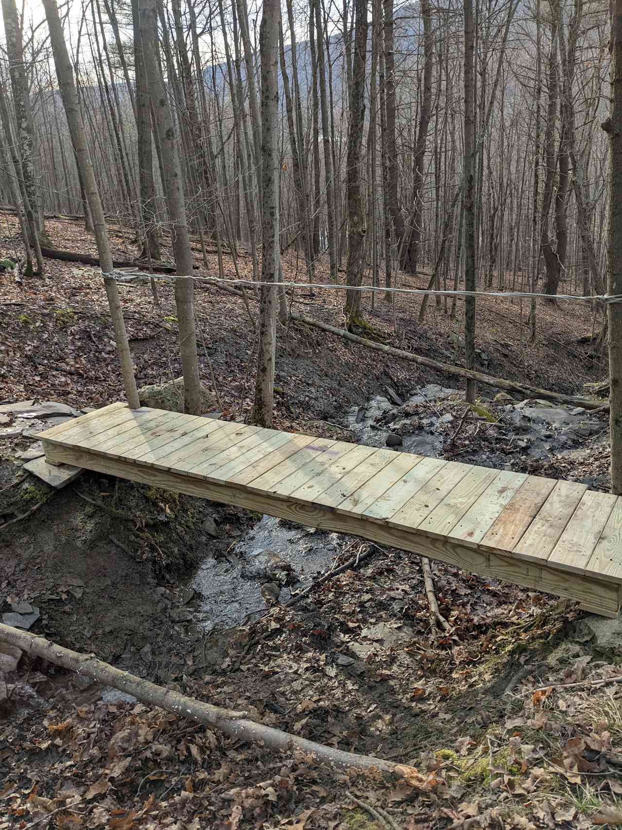 Site#4 "Creek View". Need to hike up the mountain by Hawk's Landing are go South about 150 yards. Nice, private well away from the road. Nice spot for 2-3 tents. Next to seasonal water flow creek. Bridge is kind of fun 