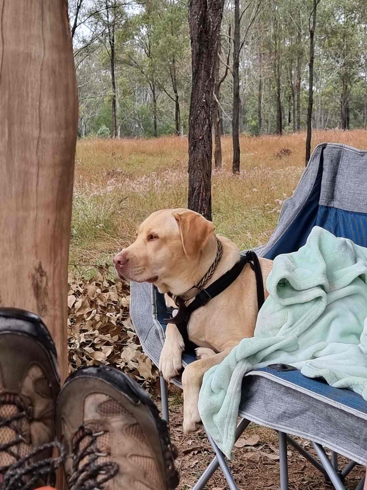 Sandy Creek Camping