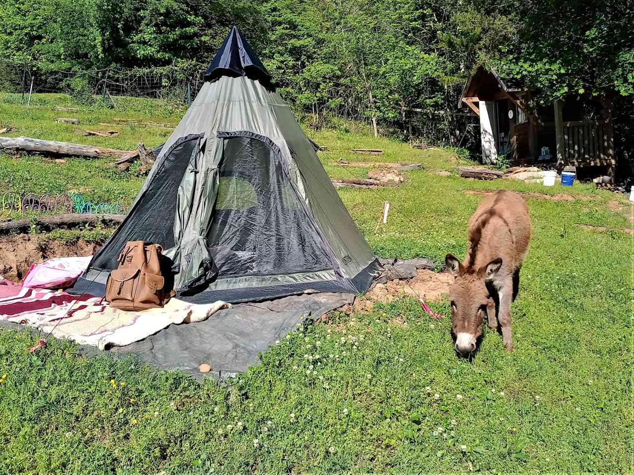 Babbling Brook Campground