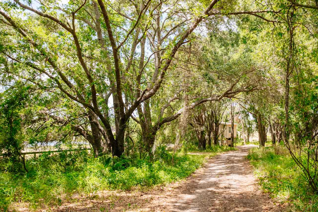 Road down to sites & treehouse